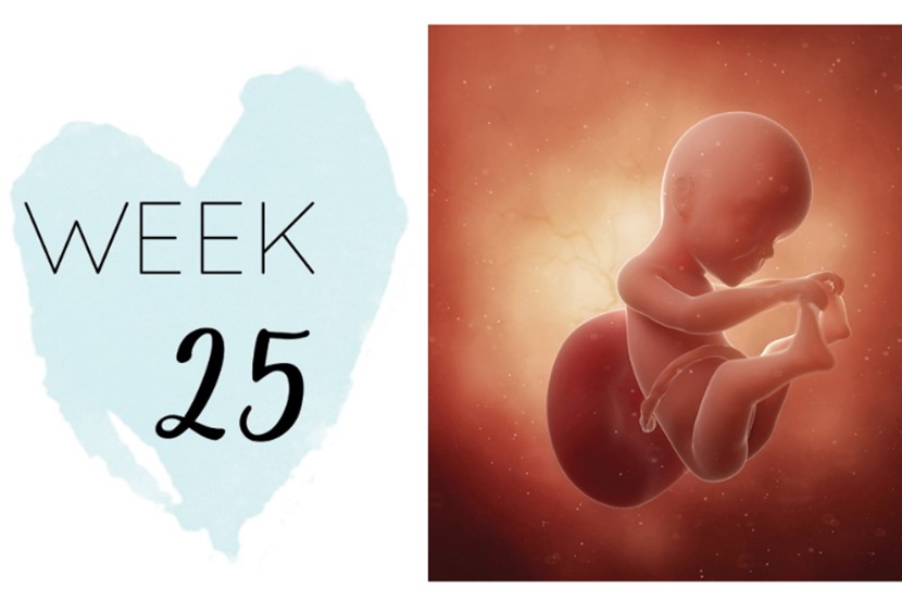 25 Weeks Pregnant Pregnancy Symptoms Ohbaby