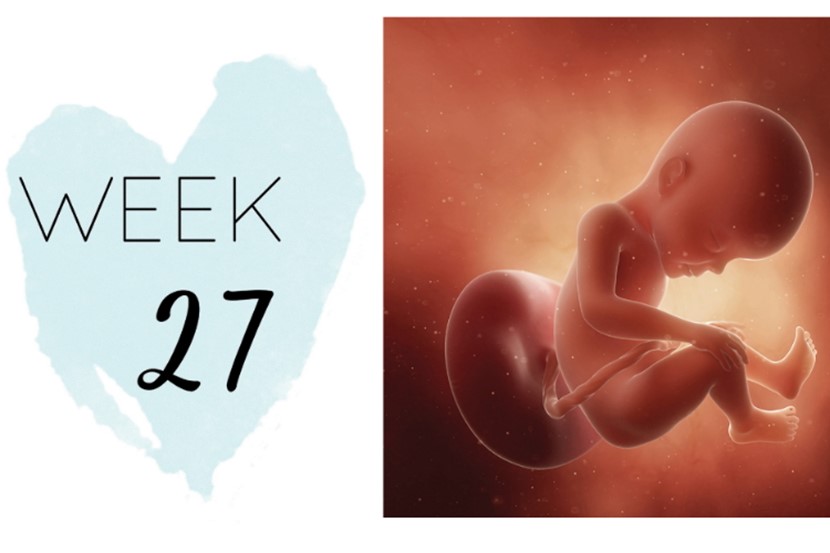 Pregnancy: What to Expect in Your Third Trimester (Week 27 - End