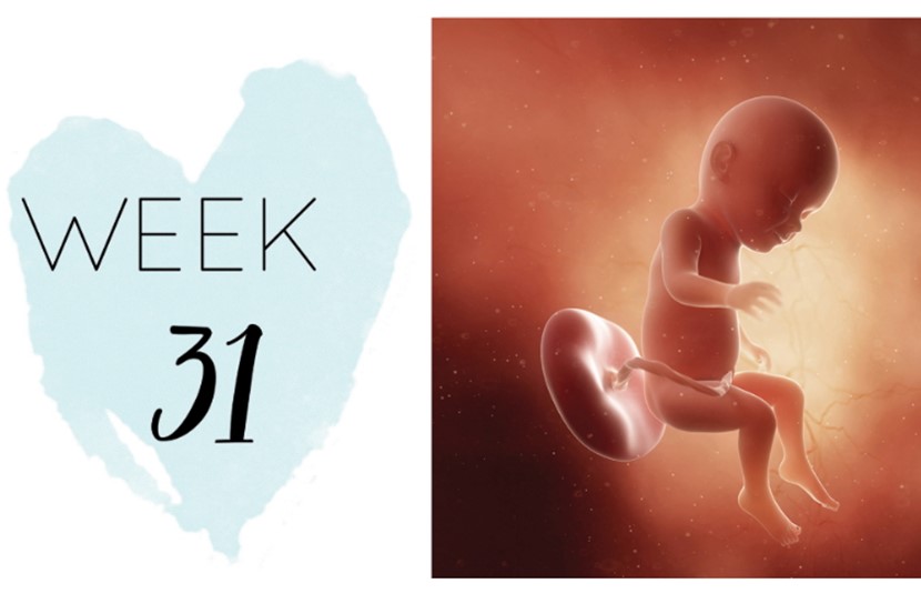 31 Weeks Pregnant: Symptoms & Signs