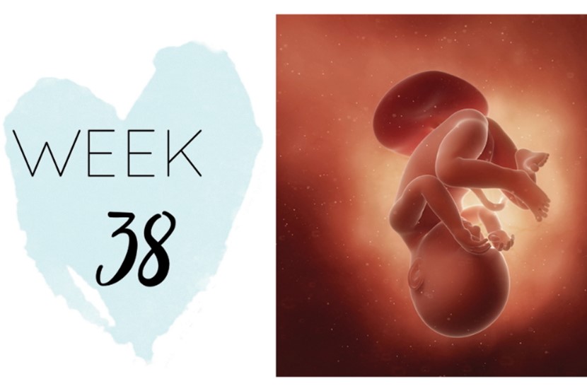 38 Weeks Pregnant  Symptoms, Nausea And Cramping