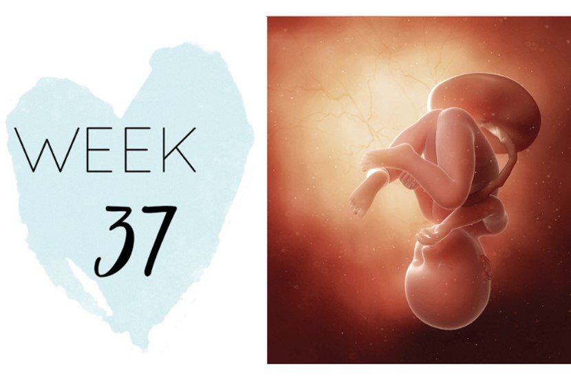 37 Weeks Pregnant, Pregnancy Week-by-Week Symptoms